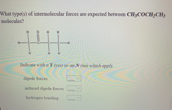 What type(s) of intermolecular forces are expected between CH3COCH2CH3 molecules? нонн Indicate with a Y (yes) or an N (no) w