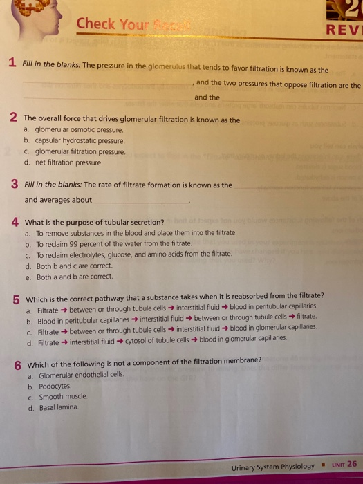 Check Your REV 1 Fill in the blanks: The pressure in the glomerulus that tends to favor filtration is known as the , and the