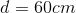 d60cm