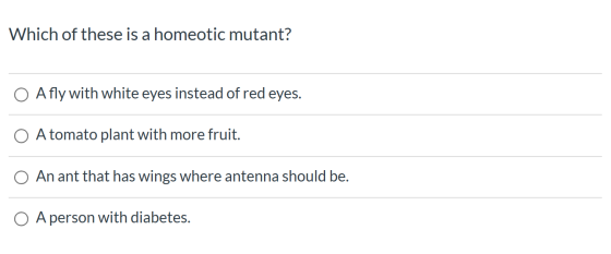 Which of these is a homeotic mutant? O Afly with white eyes instead of red eyes. O A tomato plant with more fruit. O An ant t