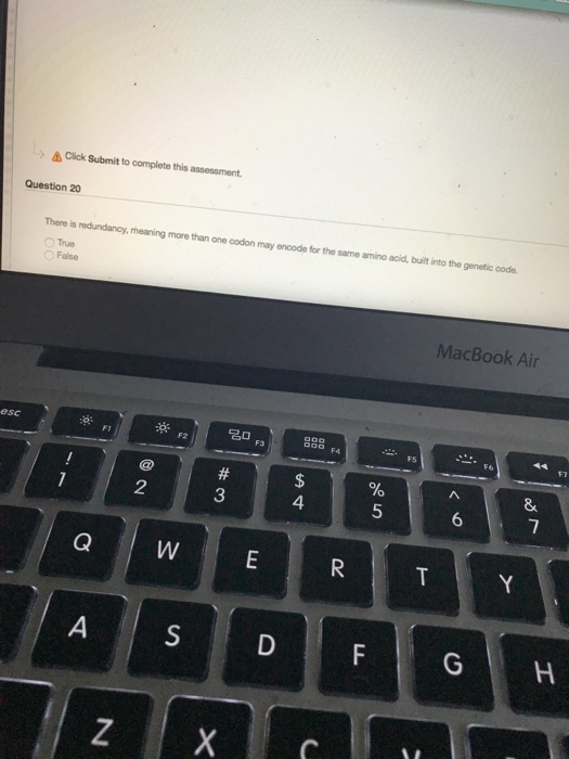 Click Submit to complete this assessment. Question 20 There is redundancy, meaning more than one codon may encode for the same amino acid, built into the genetic code. True False MacBook Air 2 3 4 5 시