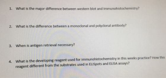 1. What is the major difference between western blot and Immunohistochemistry? 2. What is the difference between a monoclonal and polyclonal antibody? 3. When is antigen retrieval necessary? What is the developing reagent used for immunohistochemistry in this weeks practice? How this reagent different from the substrates used in ELISpots and ELISA assays? 4.
