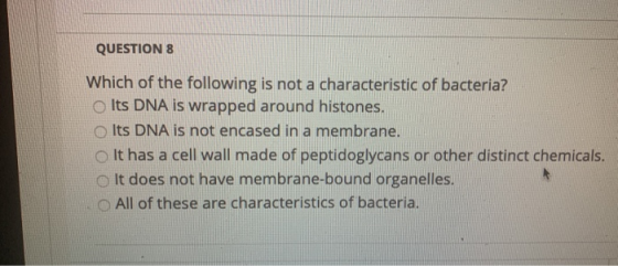 QUESTION 8 Which of the following is not a characteristic of bacteria? o Its DNA is wrapped around histones. Its DNA is not e