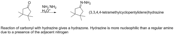 N-NH2 NH2 NH2 ног (3,3,4,4-tetramethylcyclopentylidene)hydrazine Reaction of carbonyl with hydrazine gives a hydrazone. Hydra