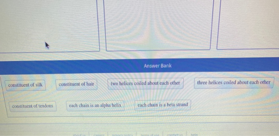 Answer Bank constituent of silk constituent of hair two helices coiled about each other three helices coiled about each other