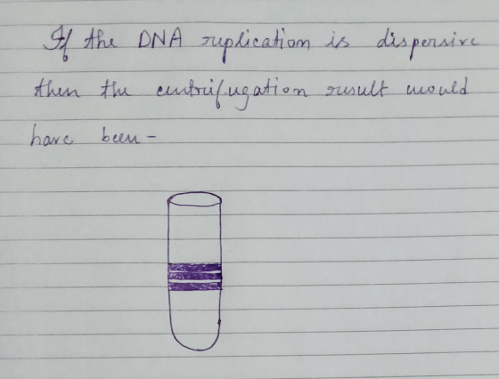 If the DNA replication is dispersive then the centrifugation result would have been -