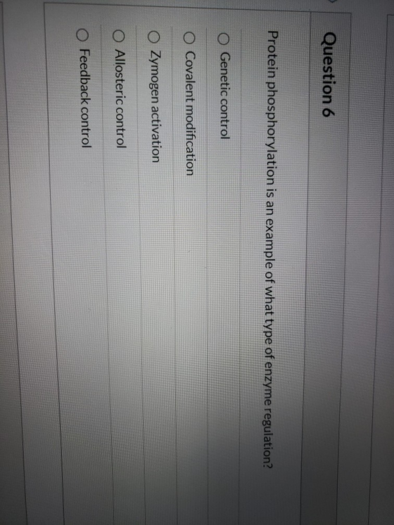 Question 6 Protein phosphorylation is an example of what type of enzyme regulation? Genetic control Covalent modification O Z