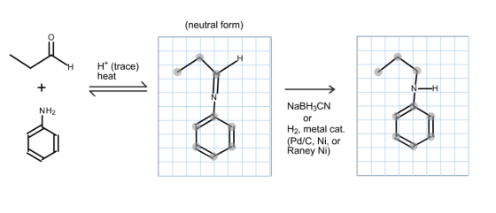 (neutral form) H* (trace) heat + aos NH2 NaBH3CN or H2, metal cat (Pd/C, Ni, or Raney Ni)