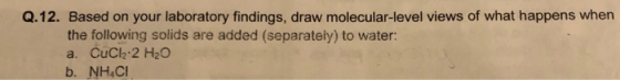 Q.12. Based on your laboratory findings, draw molecular-level views of what happens when the following solids are added (sepa