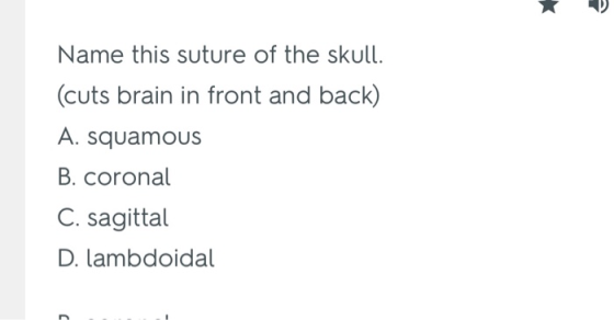 Name this suture of the skull. (cuts brain in front and back) A. squamous B. coronal C. sagittal D. lambdoidal