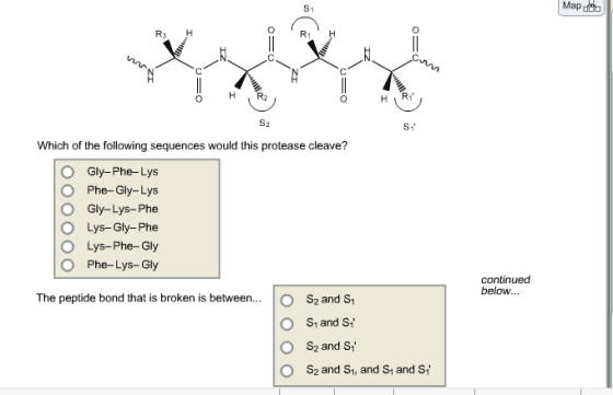 Consider the hypothetical serine protease below, w