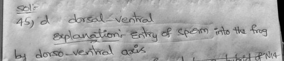 Solo 45) d dorsal ventral Explanations entry of sperm into the frog by dorso-ventral axis brid PNIA