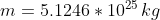 m 5.1246 1025 kg