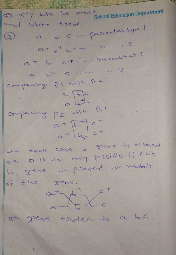 be xwy will male School Education Department white eyed. с parental type ! in 2 at or ct at 6 ct erre combinat 1 2 6T с --- R