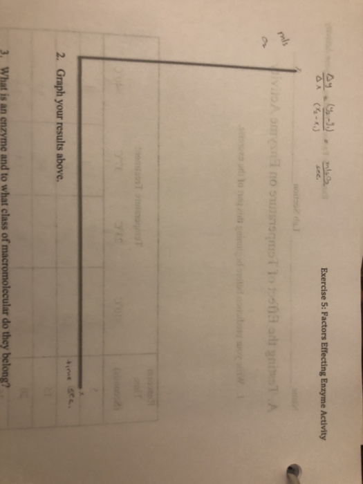 Exercise 5: Factors Effecting Enzyme Activity DX (4x) 2. Graph your results above, in and to what class of macromolecular do