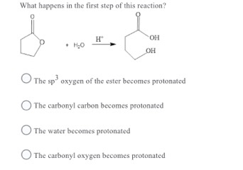 What happens in the first step of this reaction? & H + H2O OH OH The spoxygen of the ester becomes protonated The carbonyl ca