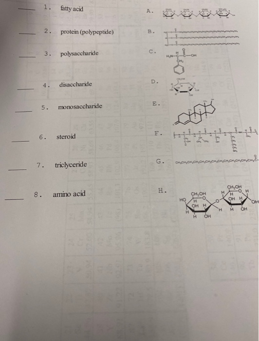 fatty acid protein (polypeptide) OPPO - 3. polysaccharide 4. disaccharide 5. monosaccharide 6. steroid CH CH CH CH CH CH CH C