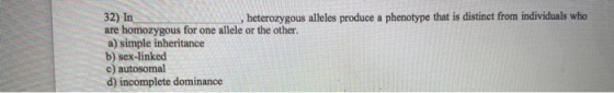 32) In heterozygous alleles produce a phenotype that is distinct from individuals who are homozygous for one allele or the ot