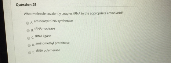 Question 25 What molecule covalently couples tRNA to the appropriate amino acid? A aminoacyl-tRNA synthetase B.TRNA nuclease