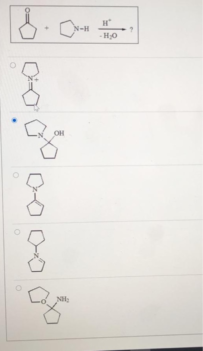 = H-N H - H2O 0 HO NH2