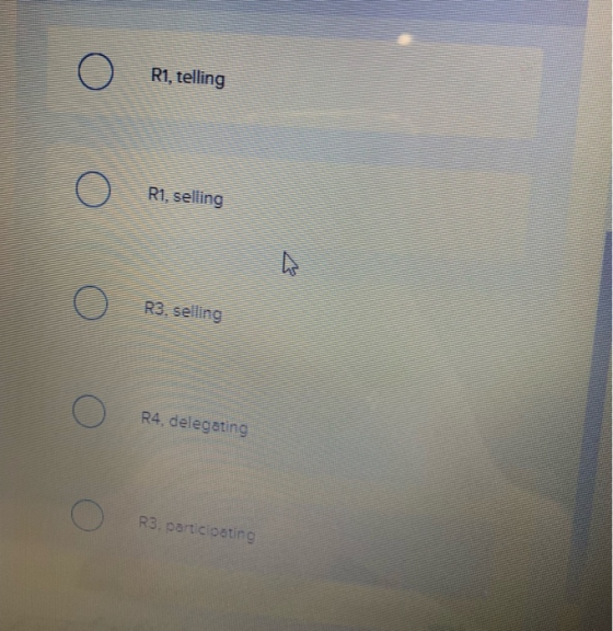 R1, telling R1, selling R3, seling R4, delegating R3, participsting