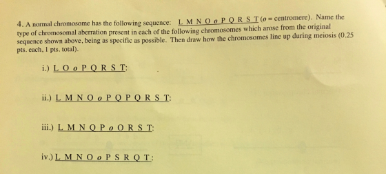A normal chromosome has the following sequence: L