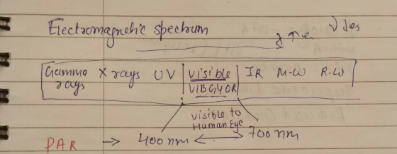 Electromaprehod spechum gore des Chamma x rays uvl visible IR rays VIB GYORI M.W R.W. visible to Human zy 700 nm PAR 40onmt.
