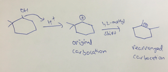 42-methyl Shirt) original Carbocation rearranged carbocation
