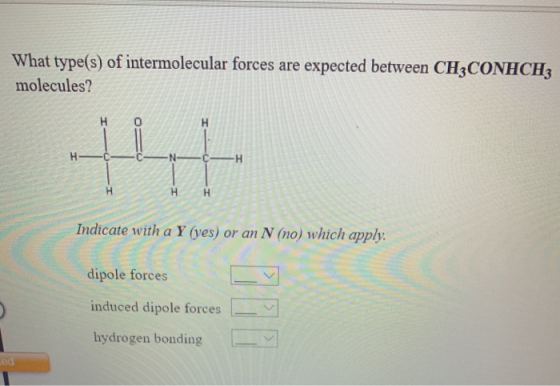 What type(s) of intermolecular forces are expected between CH3CONHCH3 molecules? НН Indicate with a Y (yes) or an N (no) whic