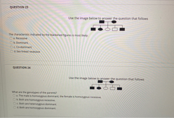 QUESTION 23 Use the image below to answer the question that follows The characteristic indicated by the blackened figures is