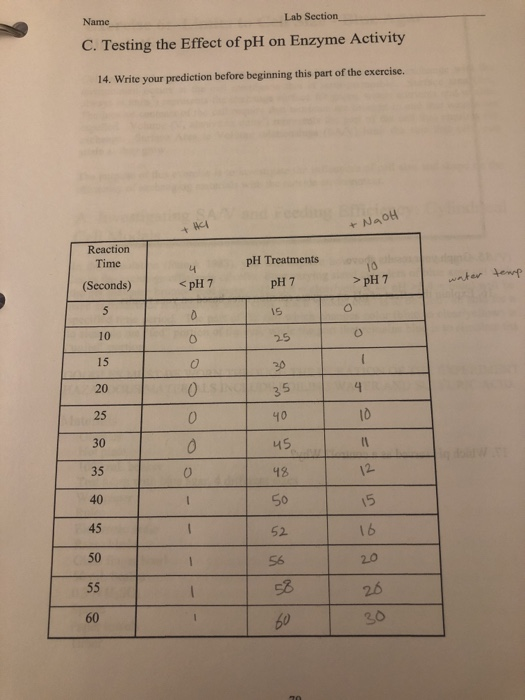 Name Lab Section C. Testing the Effect of pH on Enzyme Activity 14. Write your prediction before beginning this part of the e