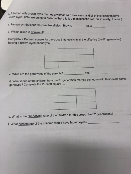 3. A father with brown eyes marries a woman with blue eyes, and all of their children have brown eyes. (We are going to assume that this is a monogenetic trait, but in reality, t is not.) a. Assign symbols for the possible alleles. Brown:_ b. Which allele is dominant? Complete a Punnett square for the cross that results in all the offspring (the F1 generation) Blue having a brown-eyed phenotype C. What are the genotypes of the parents? hat if one of the children from the F1 generation married someone with their exact same genotype? Complete the Punnett square.... e. What is the phenotypic ratio of the children for this cross (the F2 generation)? f. What percentage of the children would have brown eyes?