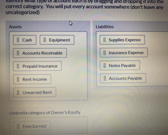 luerlily wilat type of account each Is Dy dragging and dropping it into the correct category. You will put every account some