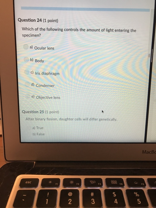 Question 24 (1 point) Which of the following controls the amount of light entering the specimen? a) Ocular lens b) Body c) Iris diaphragm d) Condenser e) Objective lens Question 25 (1 point) After binary fission, daughter cells will differ genetically a) True b) False MacBo 20 esc F2 F3 EA FI 2