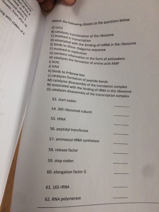 Match the following choices to the questions below