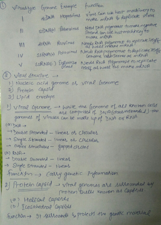 Vihusye Genome txample fundo dsNA Hepesvis vious Can use hast machinery to I SDNA) laswevirus Need A pomemde tomake n Ill dsR