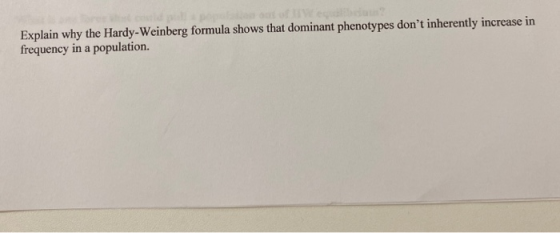 Explain why the Hardy-Weinberg formula shows that dominant phenotypes dont inherently increase in frequency in a population.