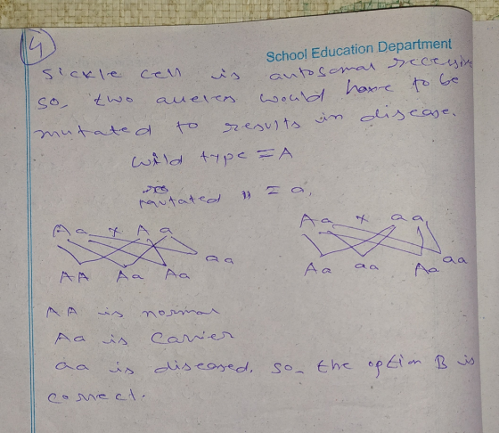 School Education Department Sickle cen is autosomal secesine so two anelen would have to be mutate d to results in disease. w
