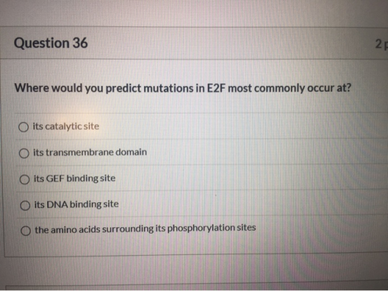 Question 36 27 Where would you predict mutations in E2F most commonly occur at? O its catalytic site O its transmembrane doma