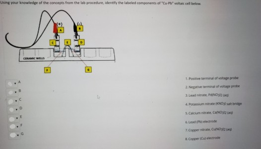 Using your knowledge of the concepts from the lab procedure, identify the labeled components of CuPb voltaic cell below (+)