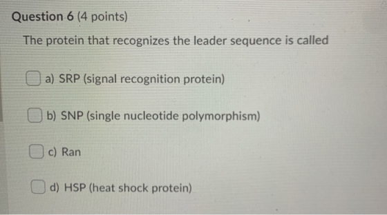 Question 6 (4 points) The protein that recognizes the leader sequence is called a) SRP (signal recognition protein) b) SNP (s