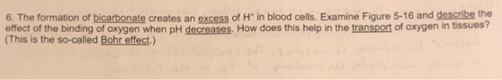 6. The formation of bicarbonate creates an excess of H in blood cells. Examine Figure 5-16 and describe the effect of the bin