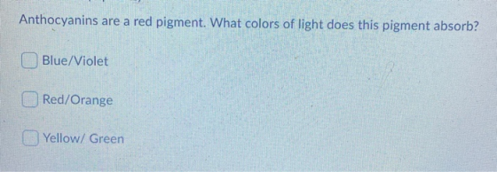 Anthocyanins are a red pigment. What colors of light does this pigment absorb? Blue/Violet Red/Orange Yellow/ Green