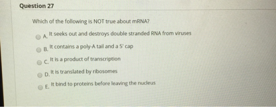 Question 27 Which of the following is NOT true about mRNA? A It seeks out and destroys double stranded RNA from viruses B. It