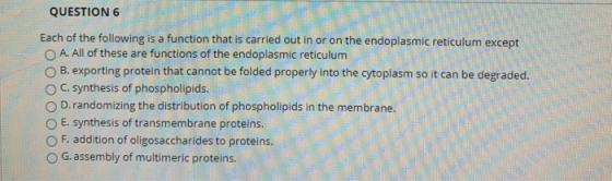 QUESTION 6 Each of the following is a function that is carried out in or on the endoplasmic reticulum except A. All of these