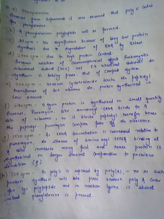 Phenylalanine 3 eoc we m observed鳱at po phenytalenine nme polybephde ll be formed. SepNo siniuance be acuse nteis due to dqra