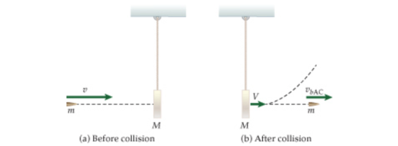 РАС, V m M (a) Before collision M (b) After collision