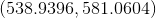 (538.9396.581.0604)