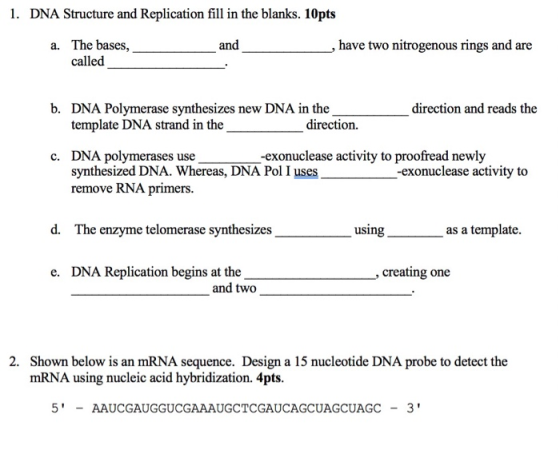 1. DNA Structure and Replication fill in the blanks. 10pts and , have two nitrogenous rings and are a. The bases, called dire