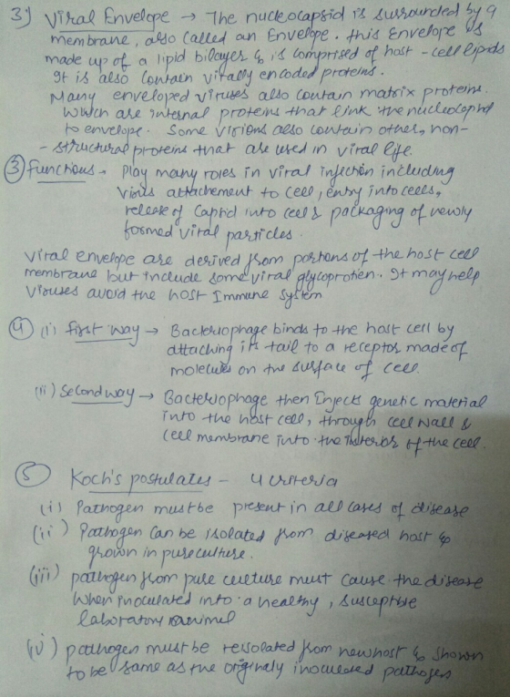 sj Vitae Envelope → The nucleo membrane , opdo Called on Env epope . this envelope s& gt込also lonain Vi(.adal enodol / Many e